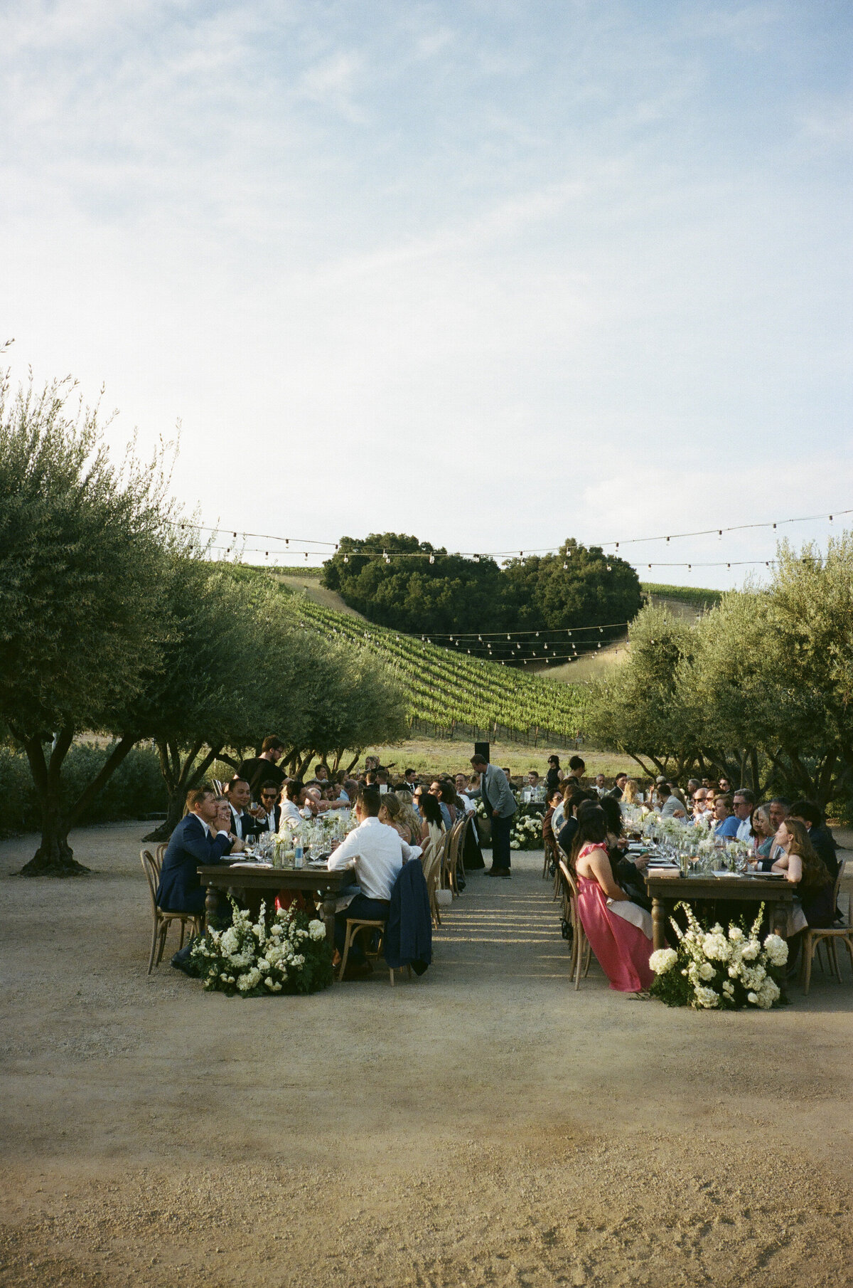 Film Paso Robles Wedding Photographer-10