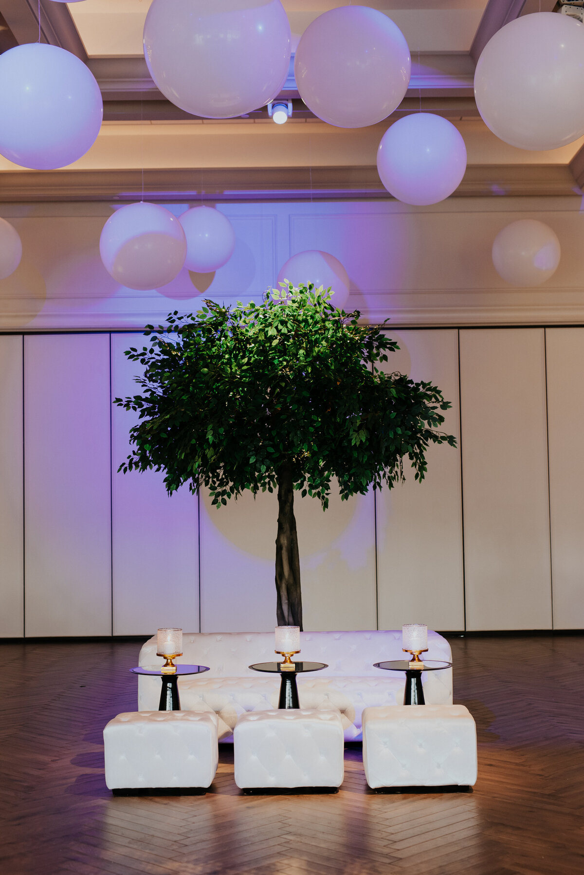 AmritaSinghPhoto-9934