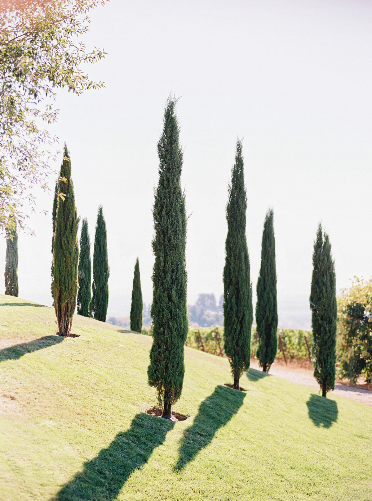 wedding-at-black-walnut-inn-and-vineyard-photography-by-the-tenneys-03