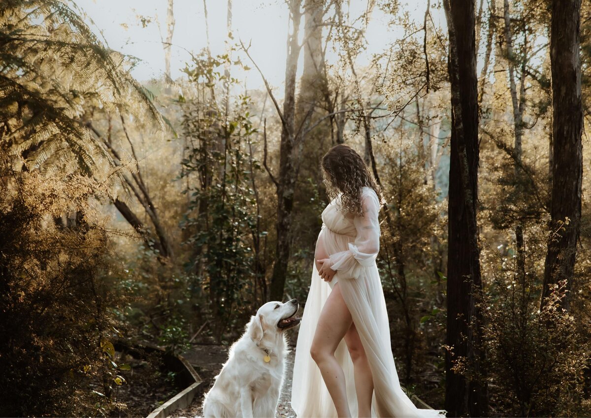 forest greenery