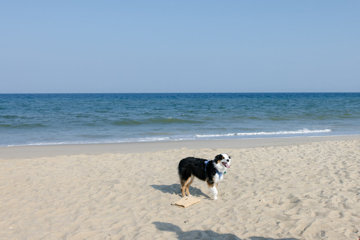 surprise-beach-proposal-photographer-nyc-wedding-photographer-love-melissa-52