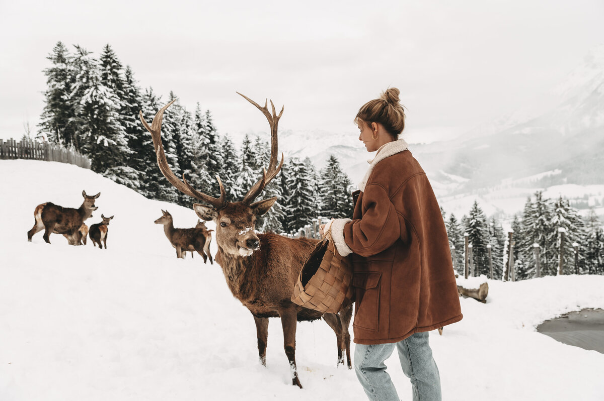tiere-jufenalm-wildgehege-winter18