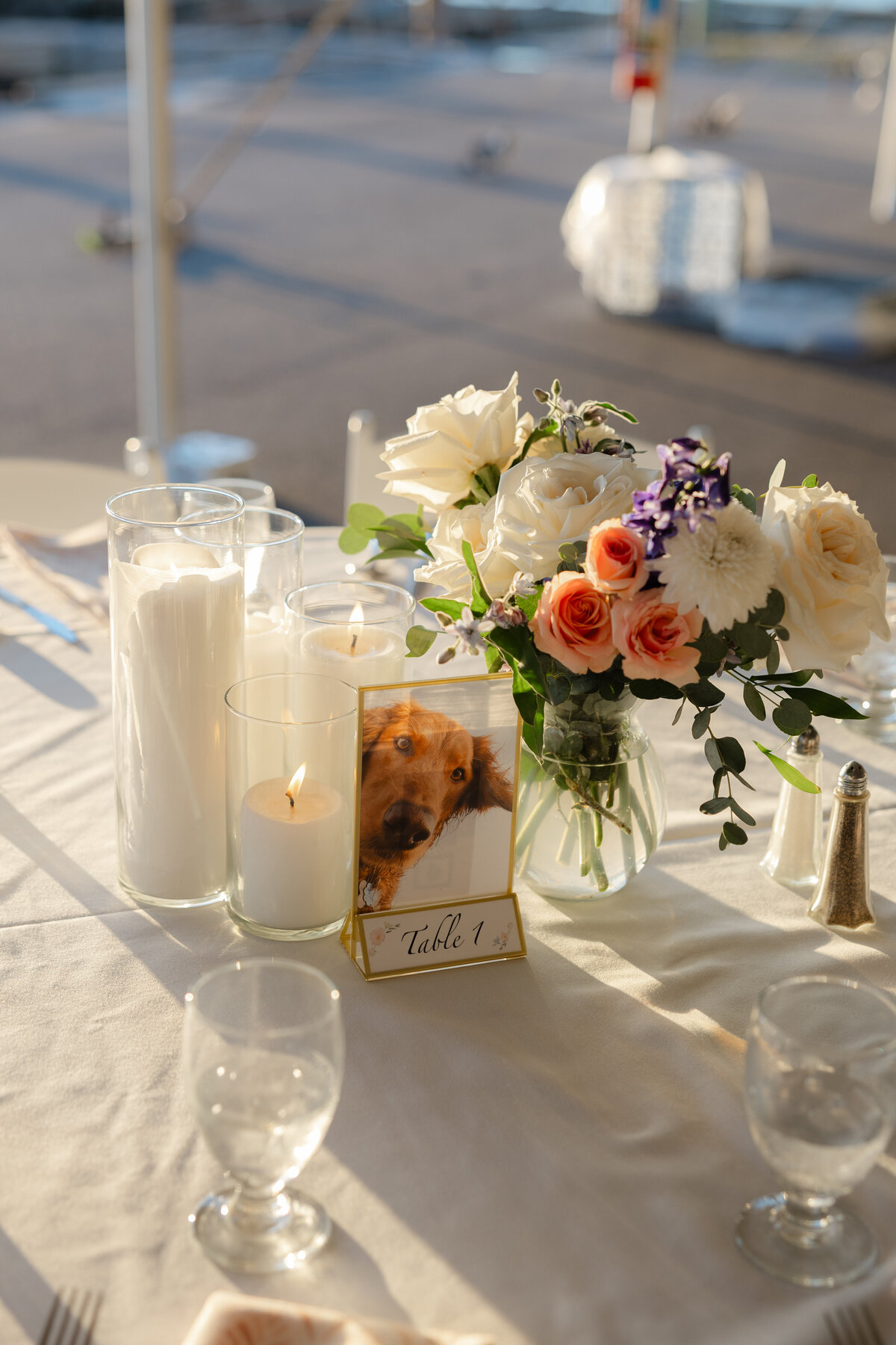 Emily Bogo Photos-Herreshoff Marine Museum Bristol Rhode Island-085