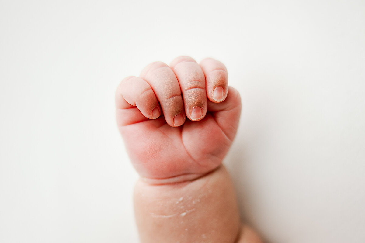 newborn photography huntsville al