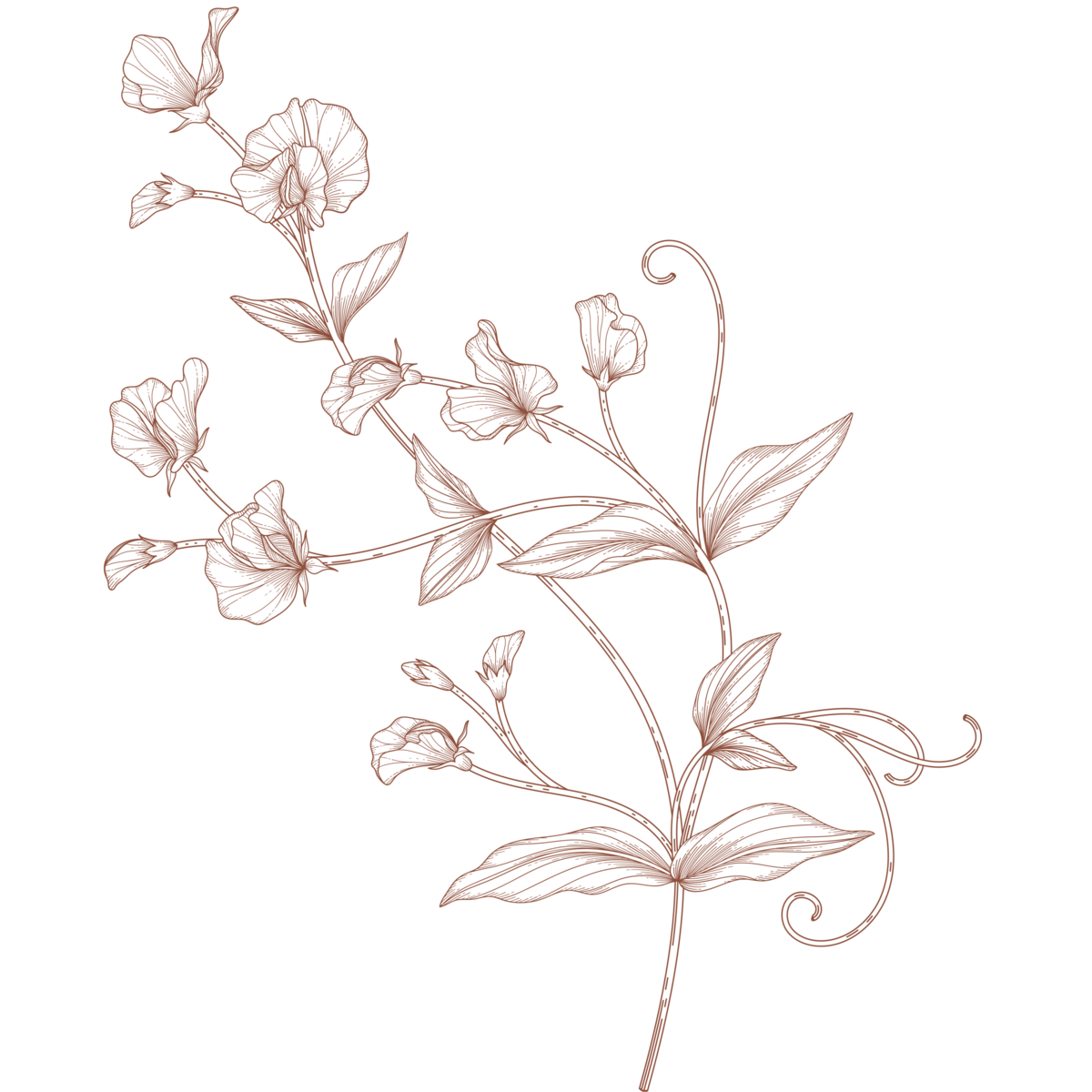 Delicate blooms enhancing the sophisticated aesthetic of Keys and Prosecco wedding piano brand