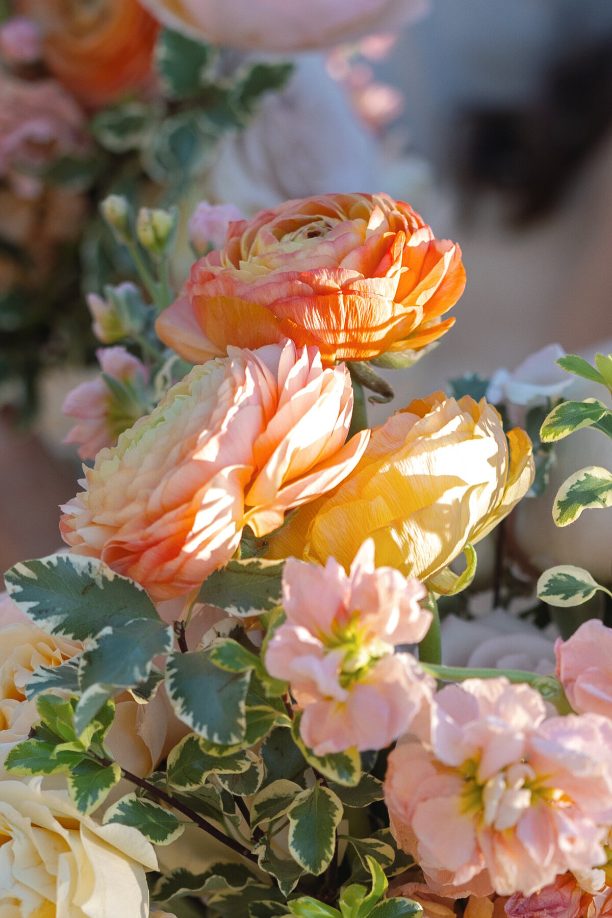 alex-mccormick-photography-dc-weddings-1-20