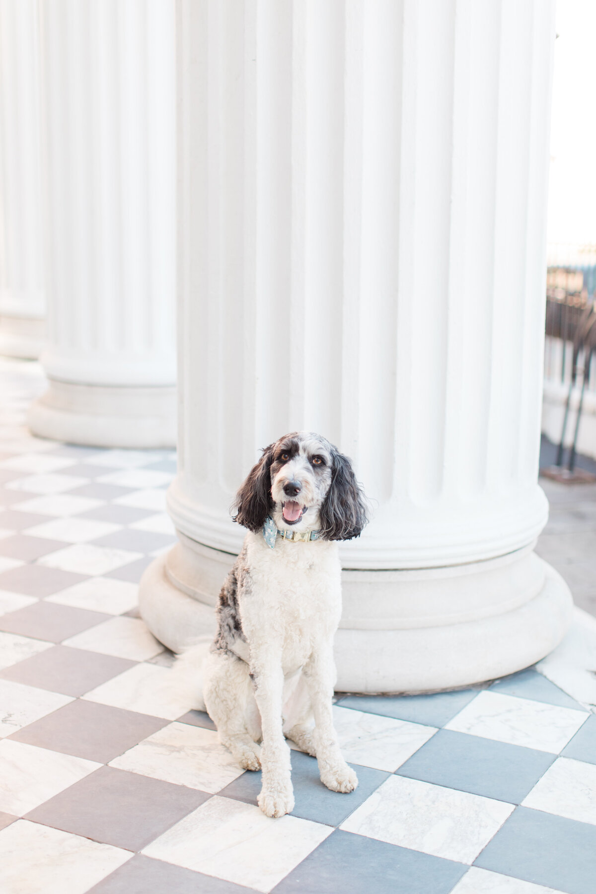 christa-rene-photography-exit-2