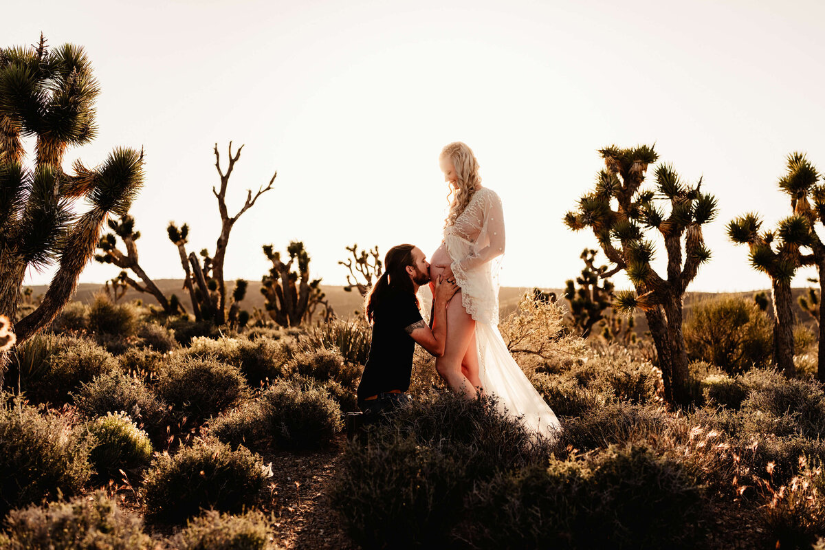 maternity-session-with-joshua-trees