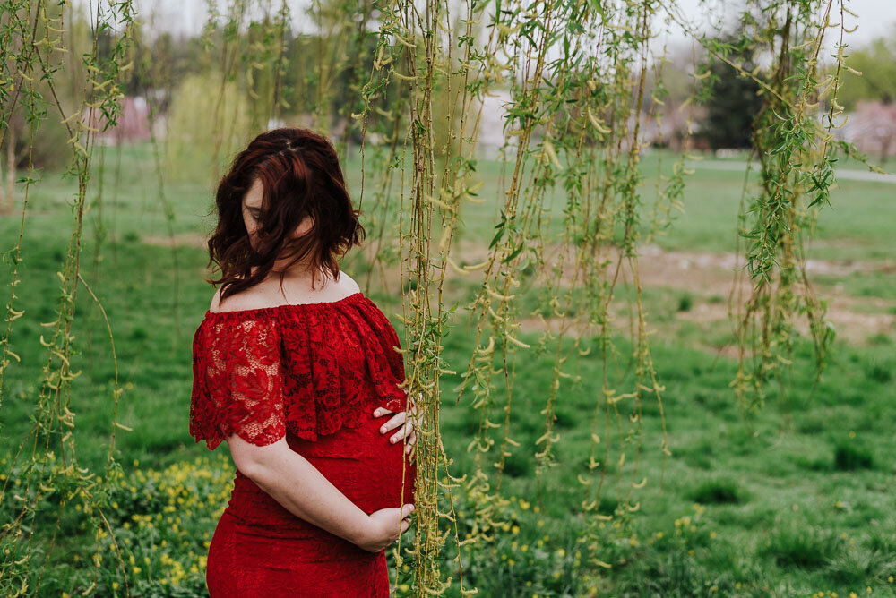 spring-maternity-session-allentown-rose-gardens-lehigh-valley-photographer_1