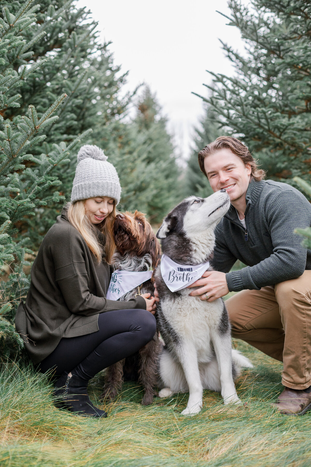 Emilia & Connor Maternity Tree Farm Minis - 27
