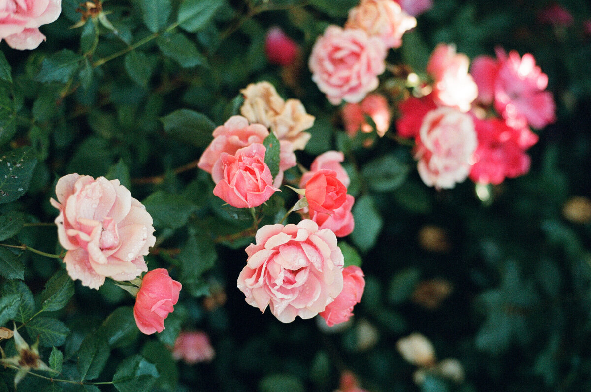 The Fairville Inn, Boutique Hotel Chadds Ford195