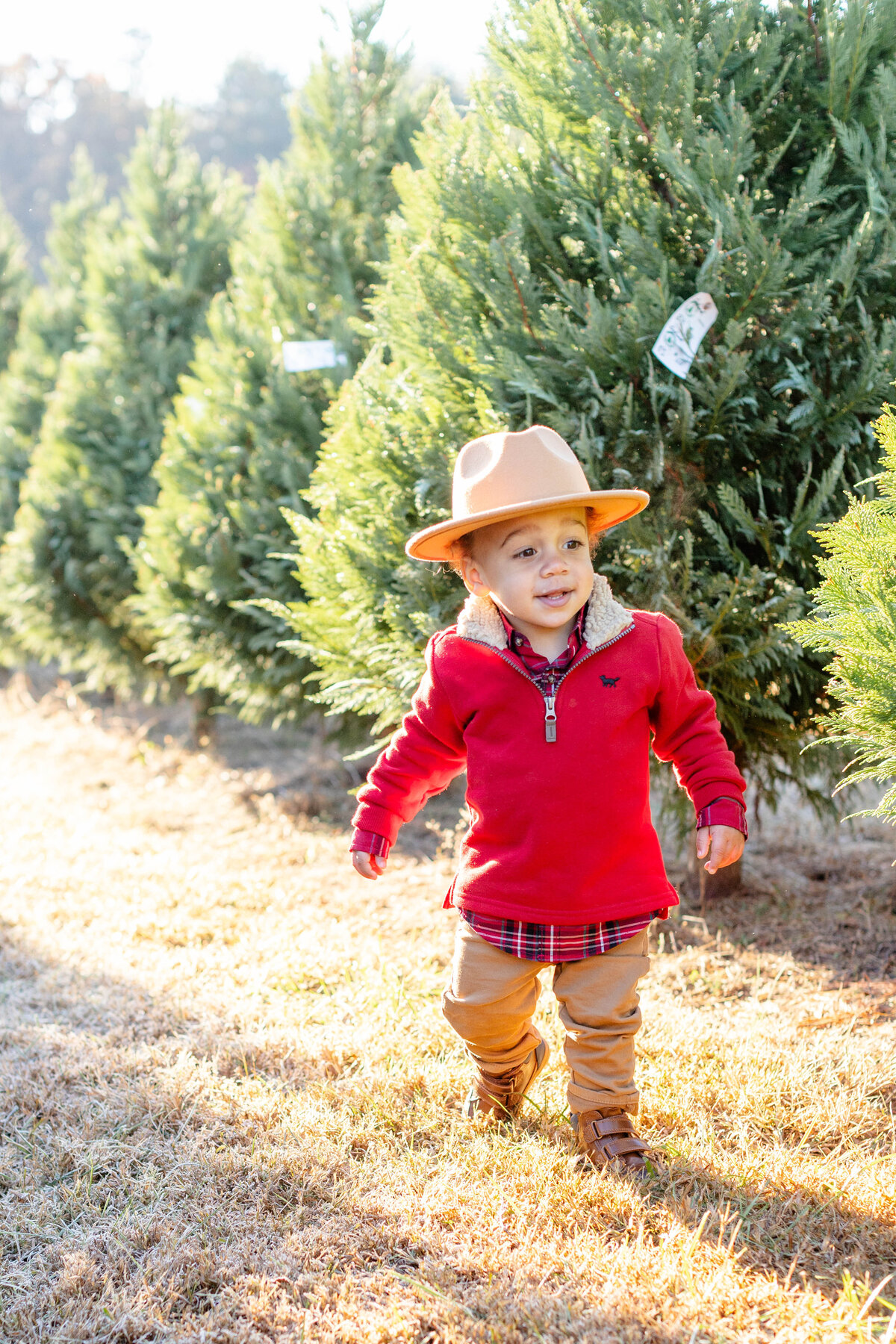 ChristmasTreeFarmMinisGreenvilleSCJennyMacyPhotography-Megan19