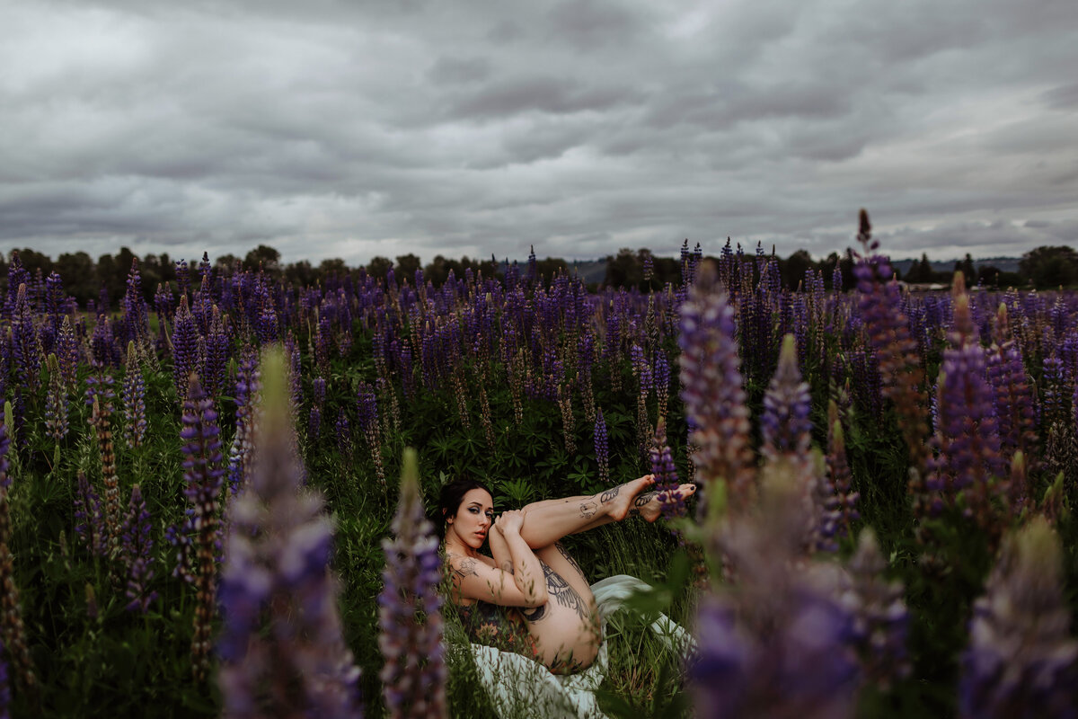 carolyn-lupines-153