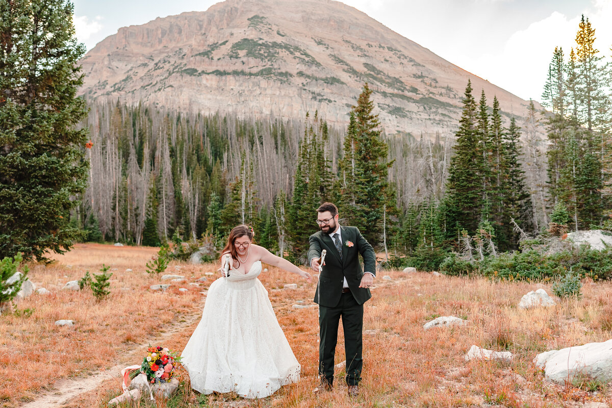 Wasatch Mountains