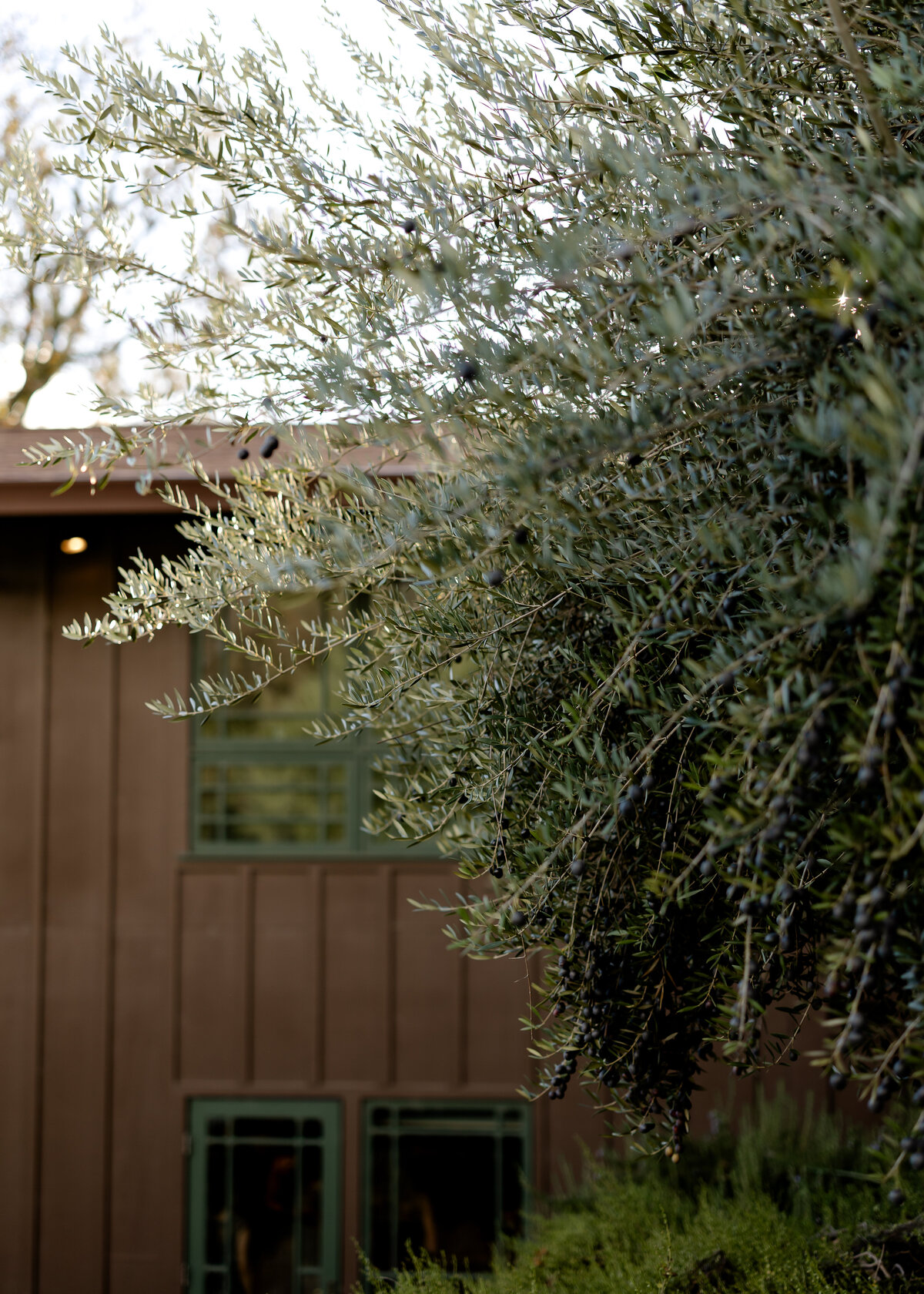 12302023_McKenna+TaylerWedding_CalistogaCA_AnjaJensenPhotography-9