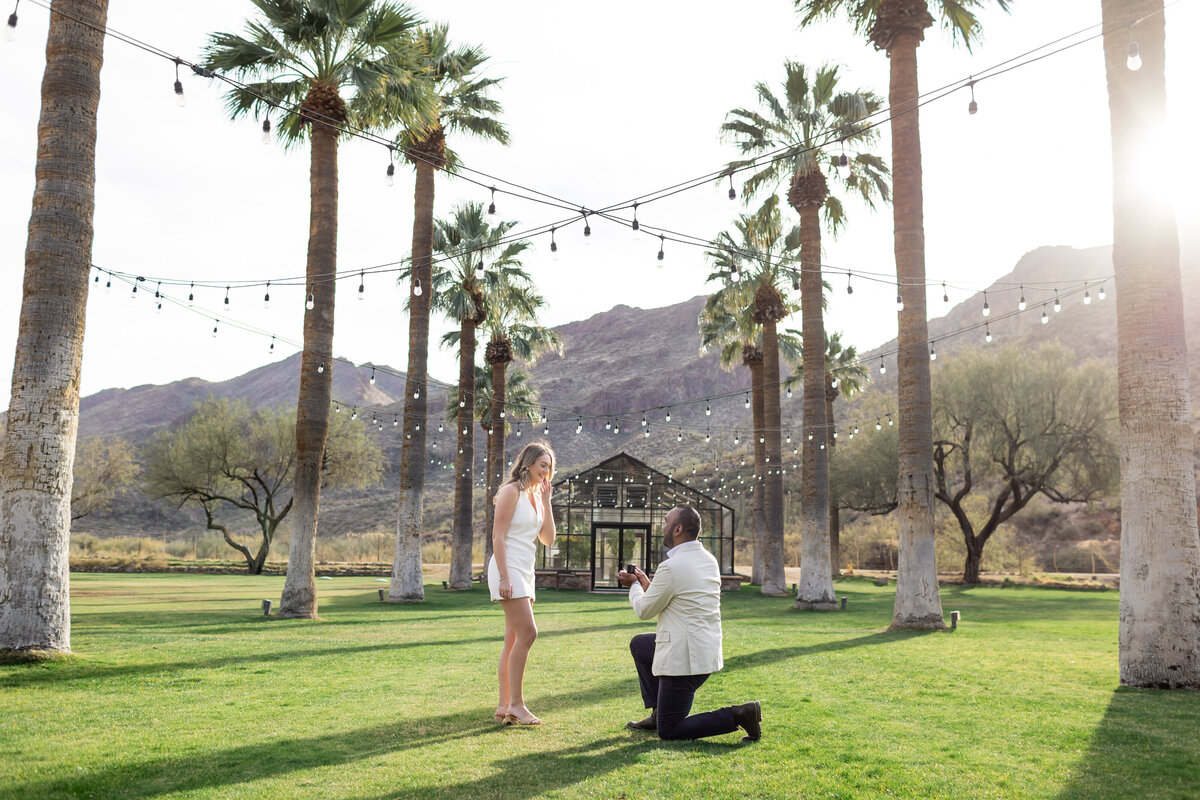 CastleHotSpringsEngagmentProposalRebekahSampsonPhotographyArizonaWeddingPhotographer1