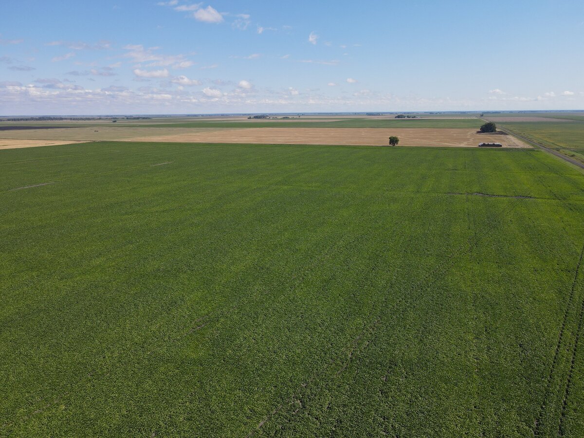 DJI_0874
