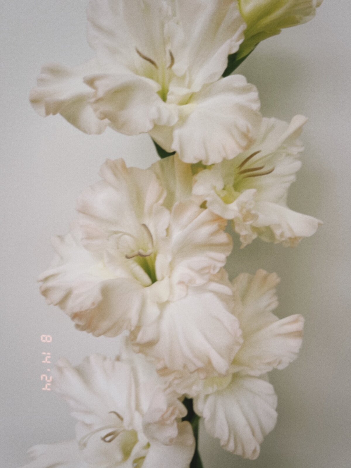 image0 (10)