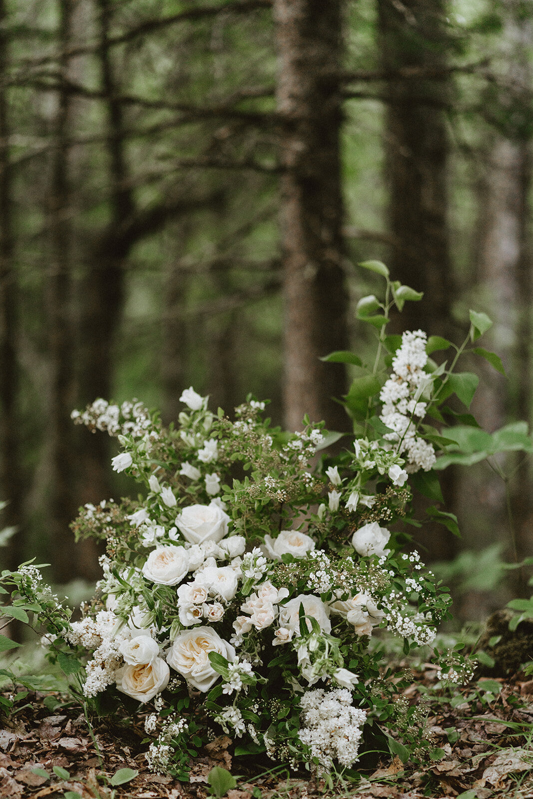 Danielle-Aisling_Strawberry_Fields_Elopement_Ottawa-105