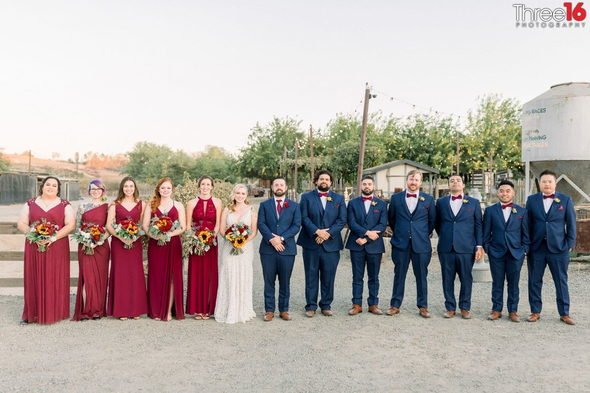 Newly married couple pose along side with their bridal party at Peltzer Winery in Temecula