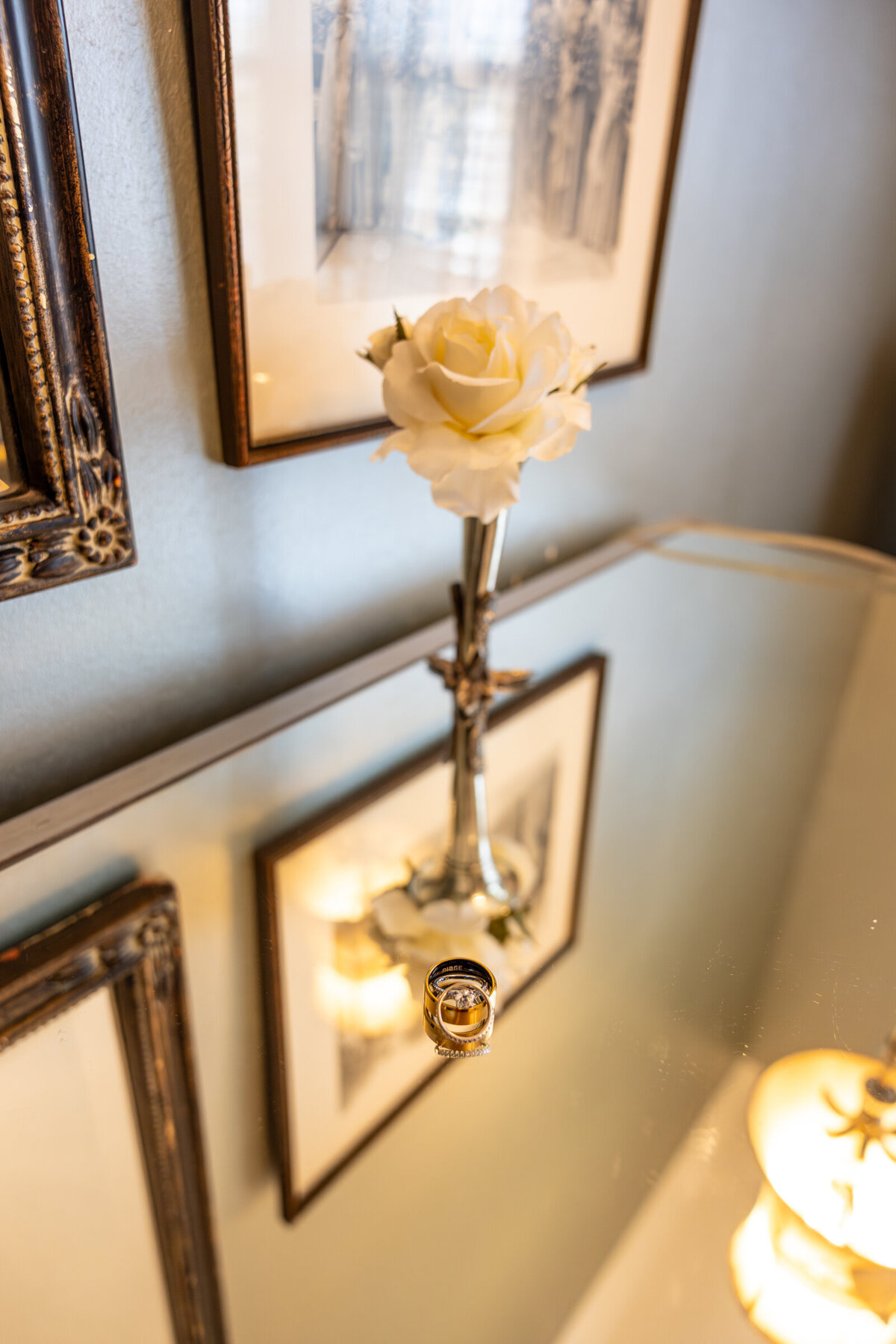 Terri Lane Photography