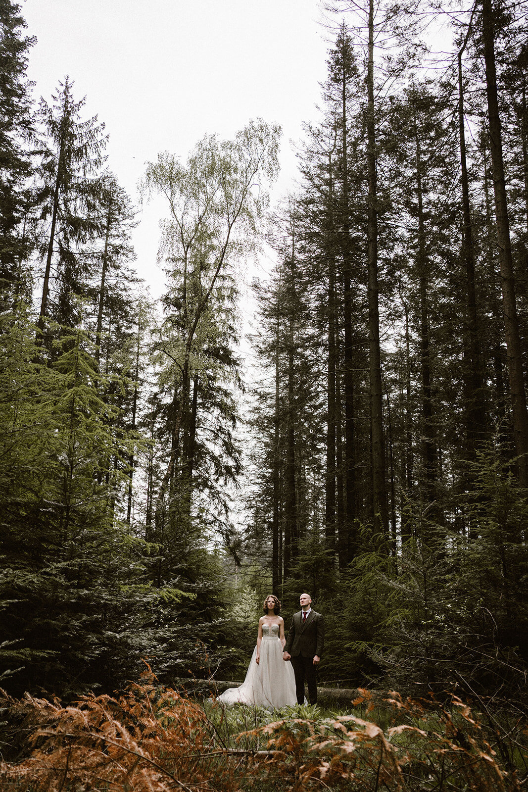 Bruidspaar in het bos tijdens fotoshoot