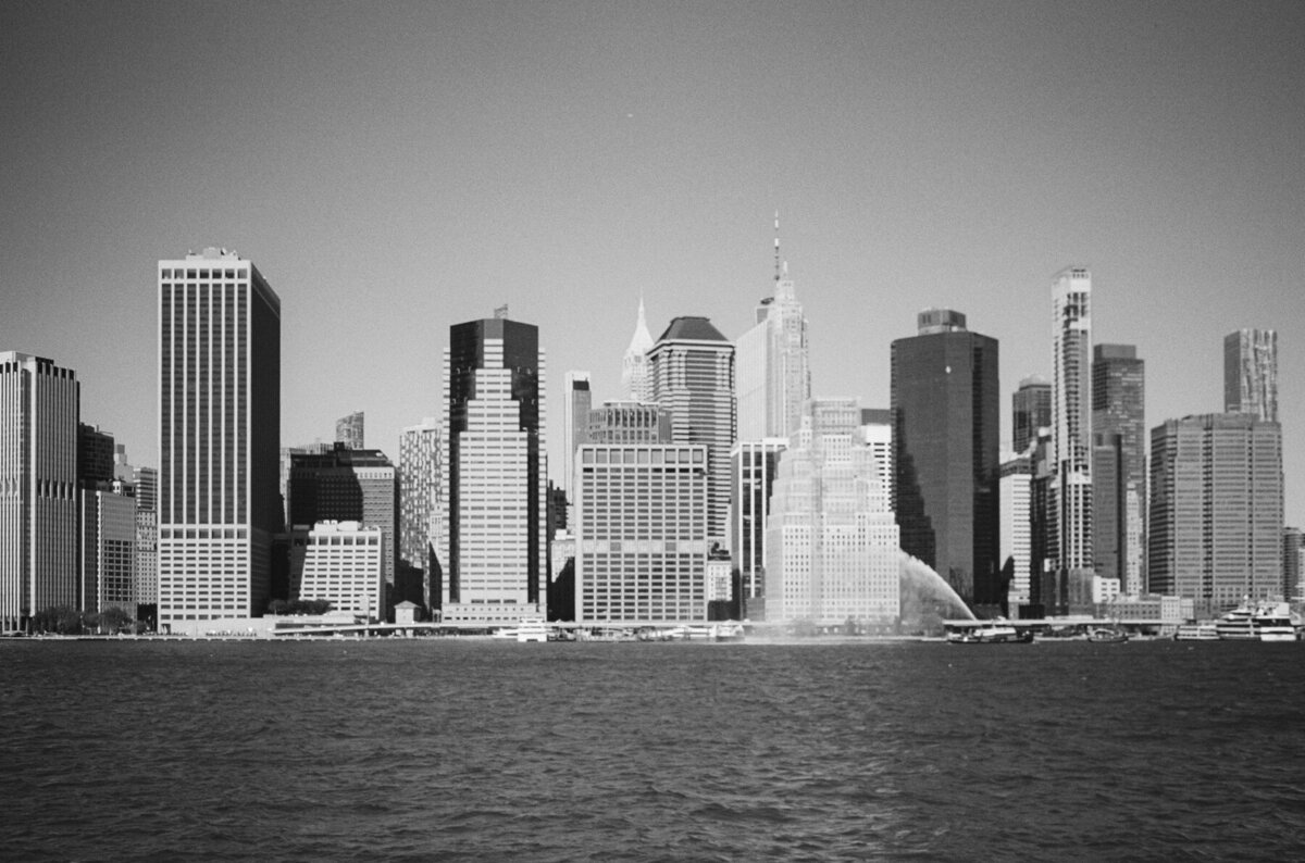 New York Wedding Photographer (1 of 200)