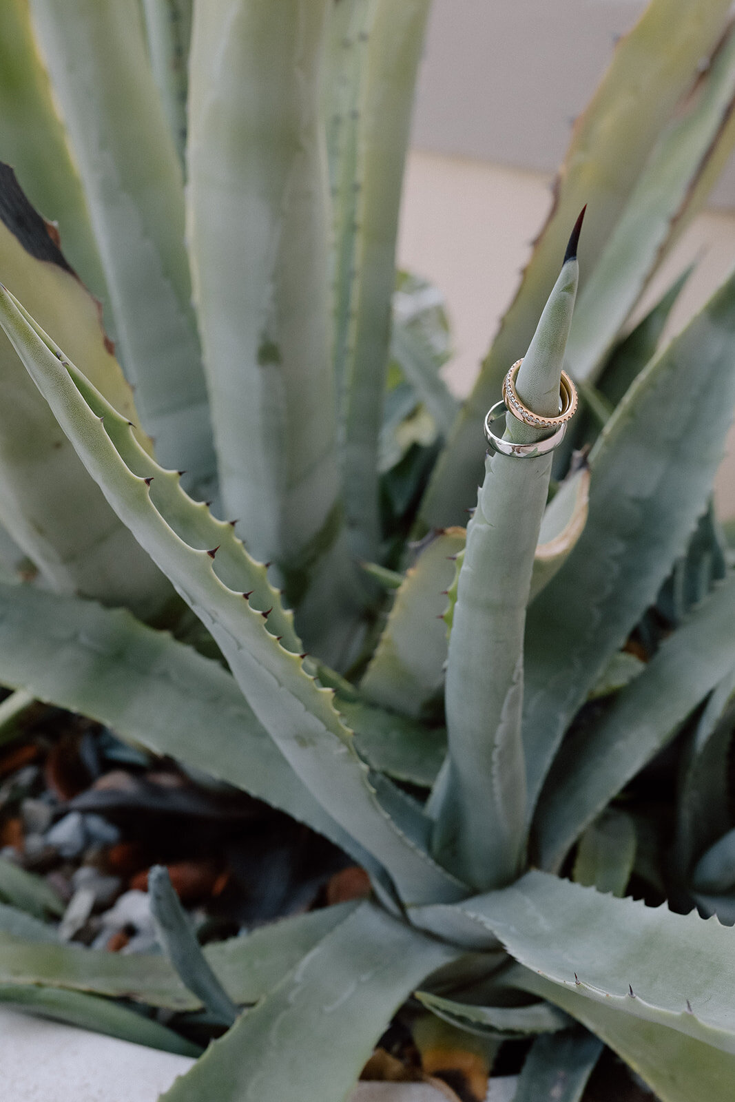3documentary-wedding-details-lisa-lark-photography