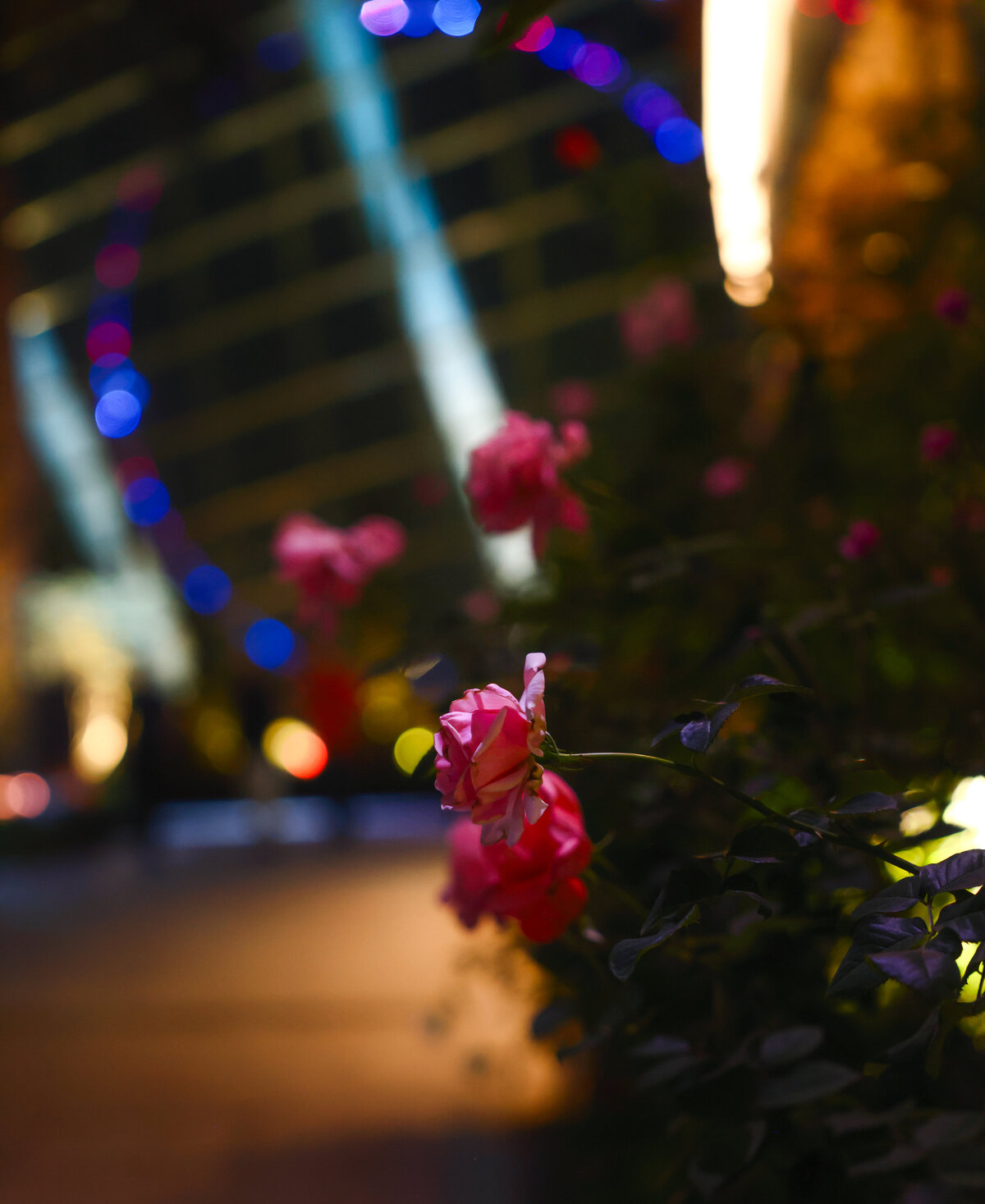 Savannah-photographer-traveler-singapore-04