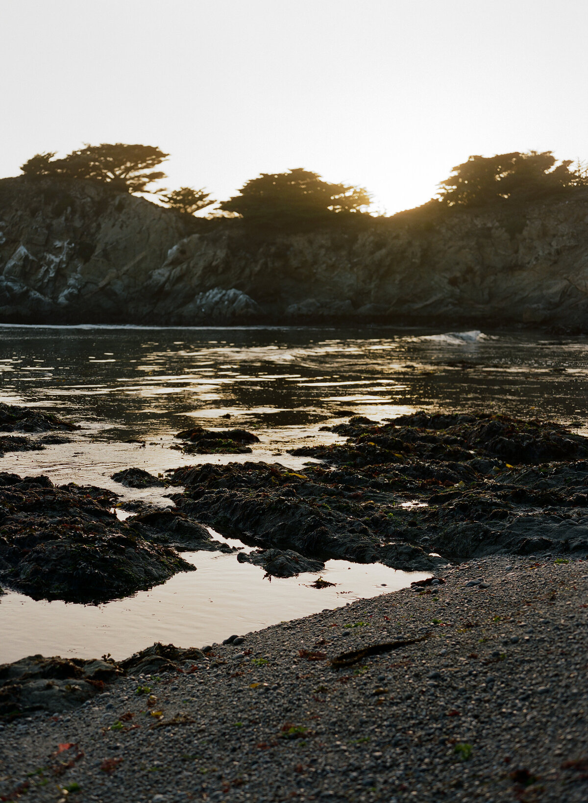 DT-2025-Kelcie&StevenPreview-173