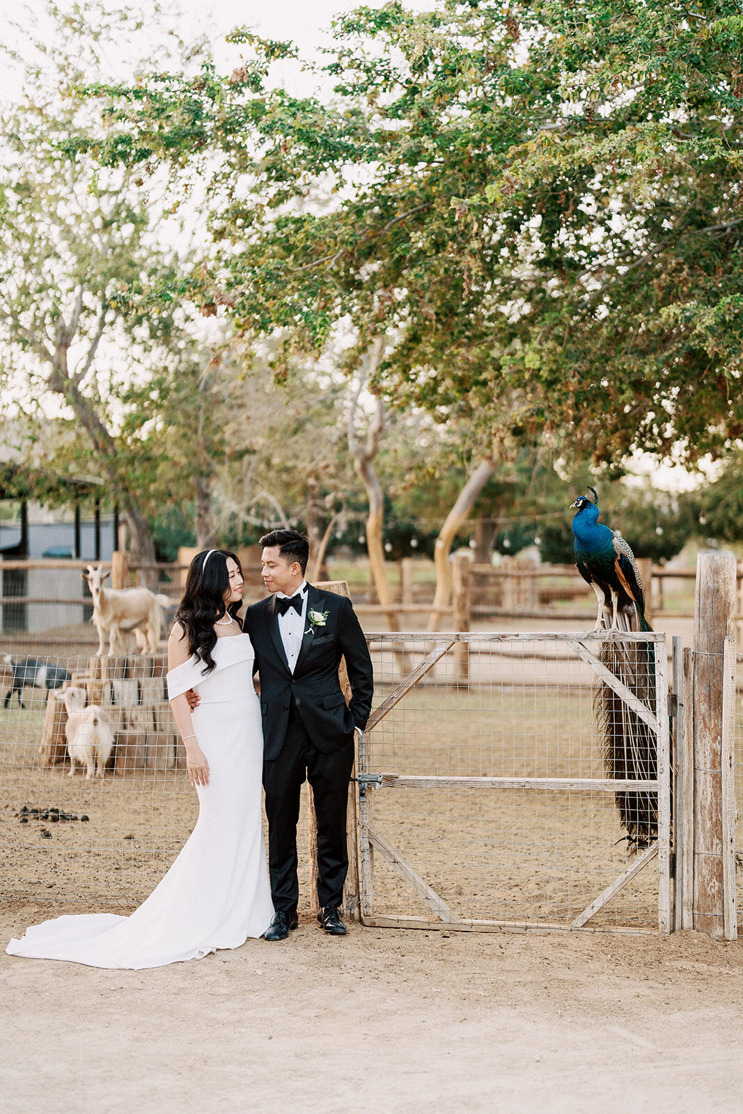 Jessica & Jay _Cabo wedding photographers-16