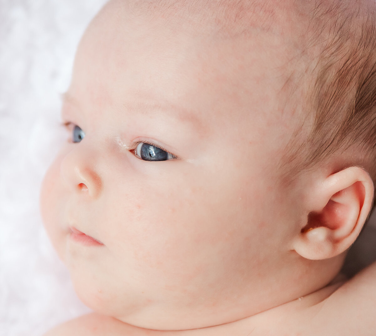Tampa-newborn-baby-portrait-photography