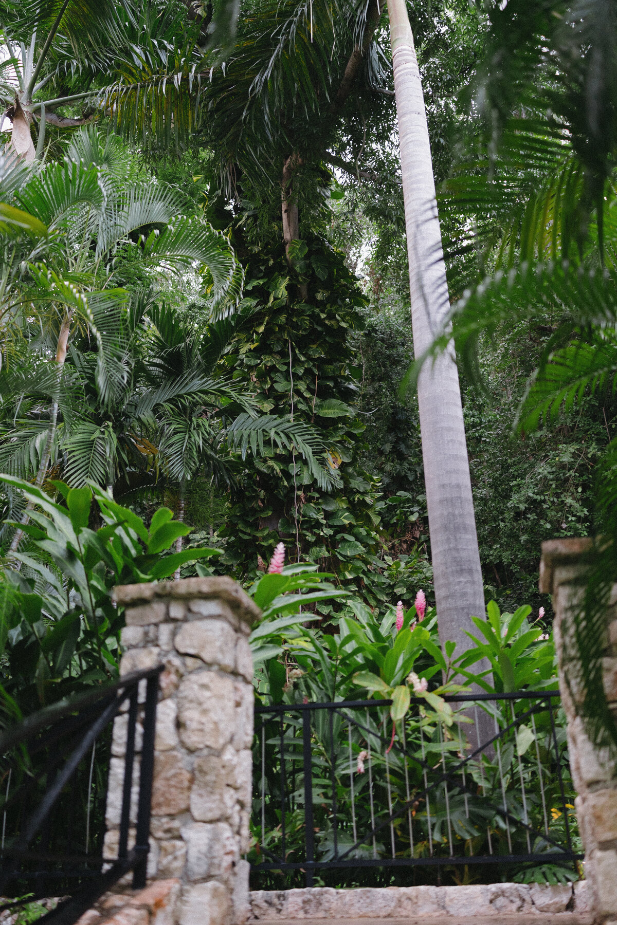 250509HANTYL-adv0004