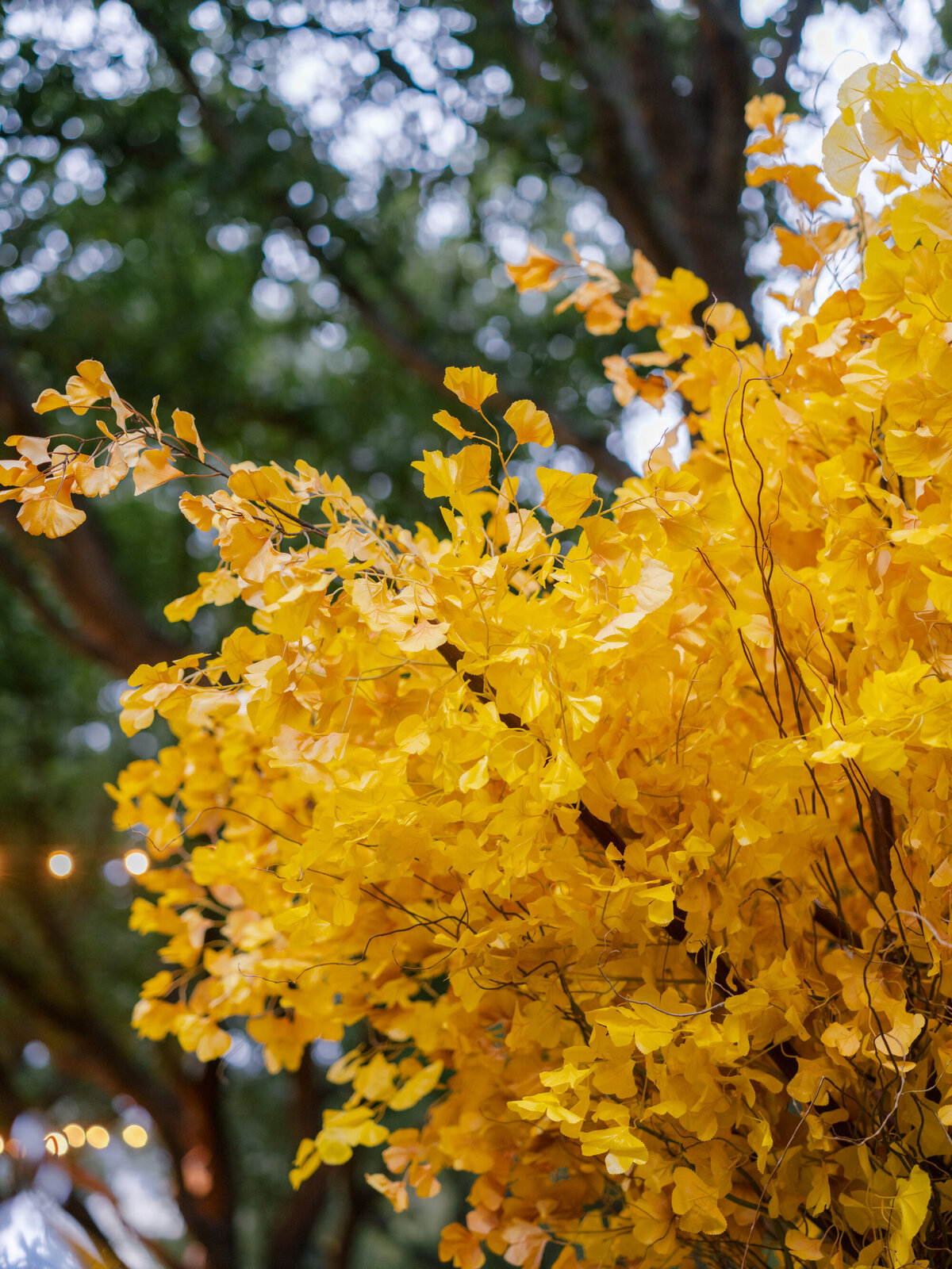 Nasher_Art_Museum_Wedding-24