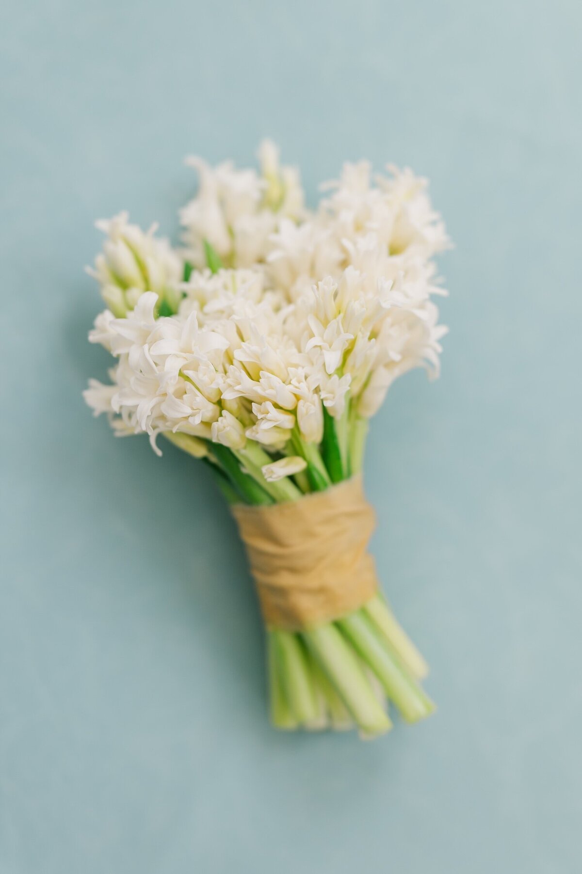 A white mini bouquet on a blue background. 