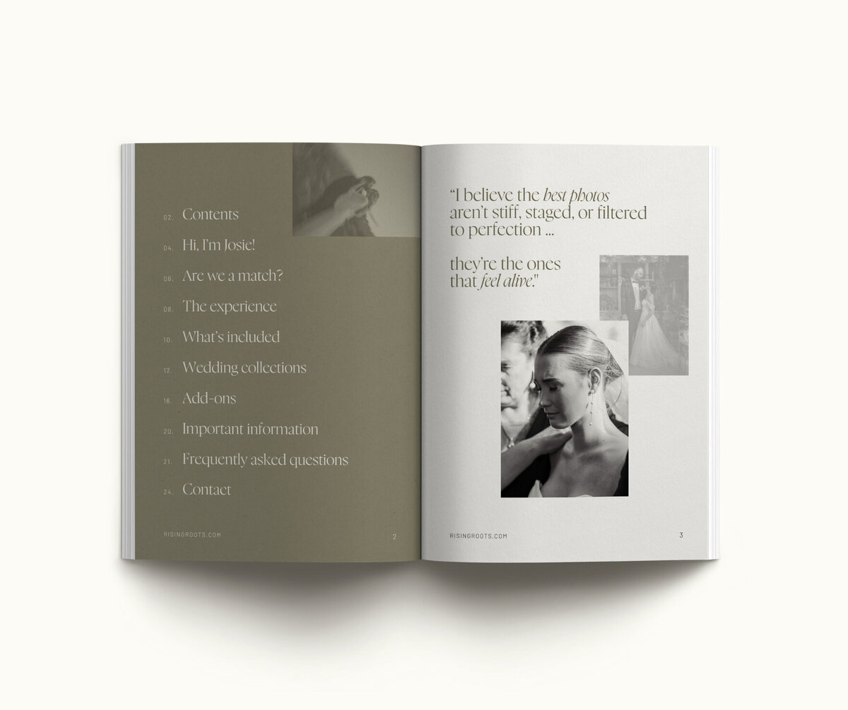 Canva pricing guide Rising Roots 5