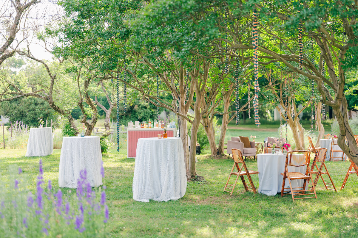 Historic-Tuckahoe-Richnond-Wedding-Planner-20