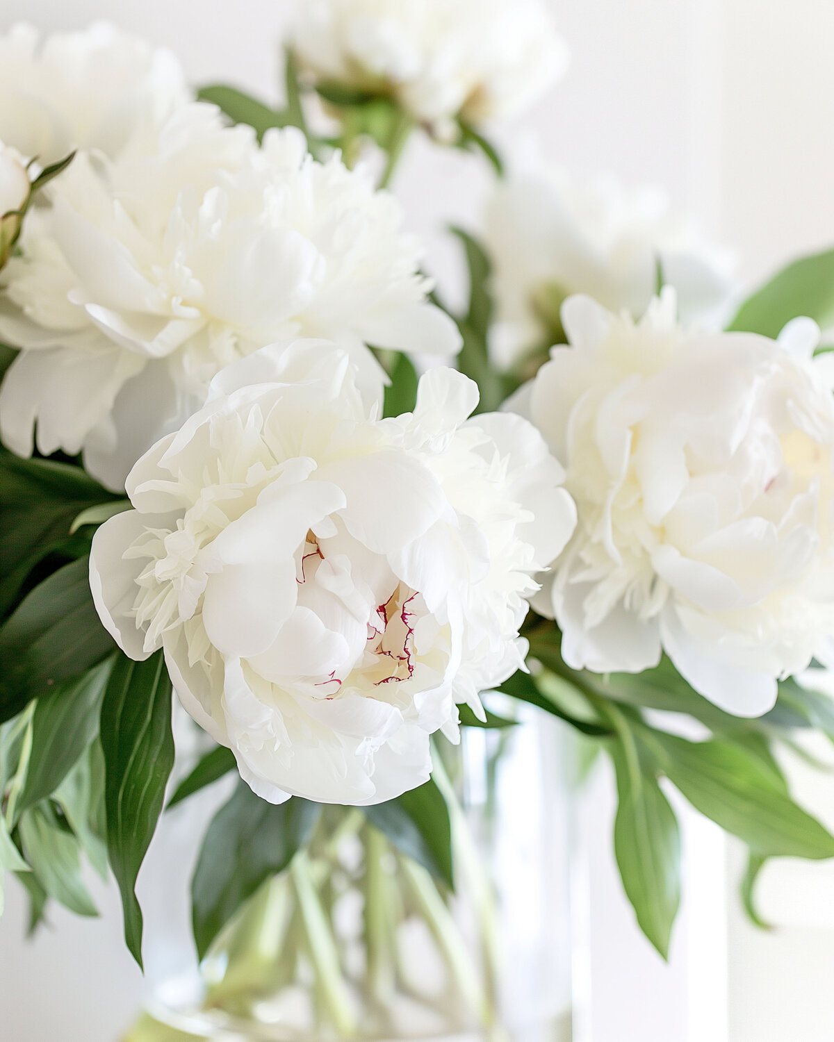 Light and Airy Stock Photos - Light and Airy Royalty Free Stock Photography - Aesthetic Stock Photos for Creative Small Businesses - Coastal Template Co - 42