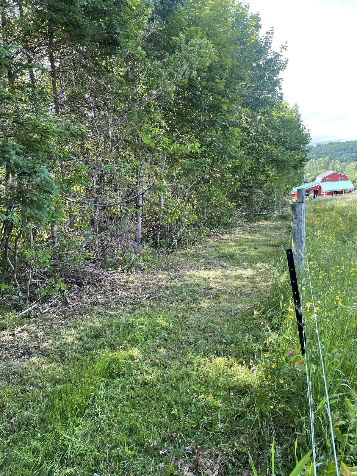 Ground Down Land Management - Excavation Services - Nova Scotia - Property Access - Trail Systems - Driveways - Patios - Landscaping - Mulching