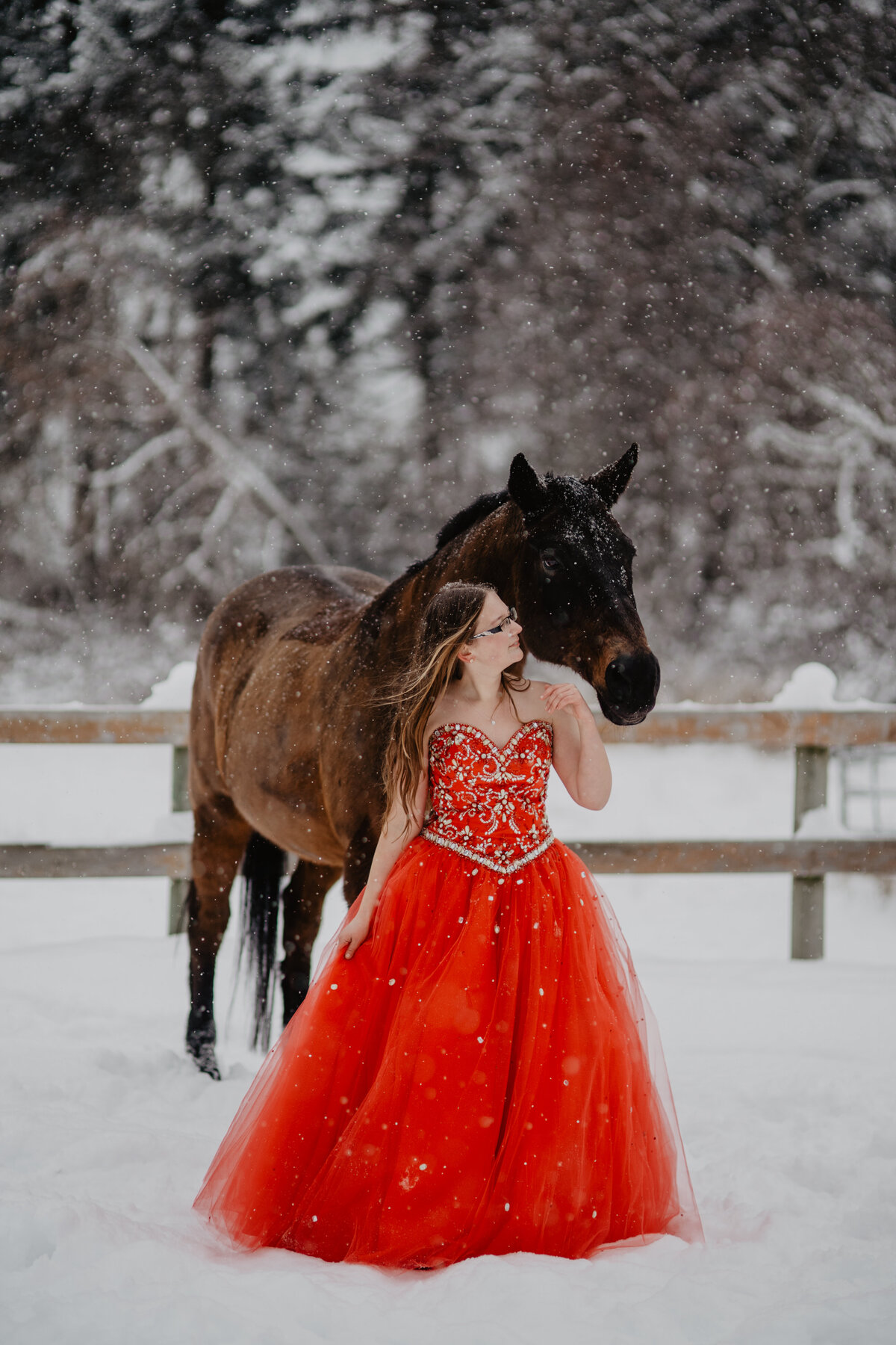 Snowy-Winter-Nanaimo-Lantzville-Horse-Equine-Portraits879