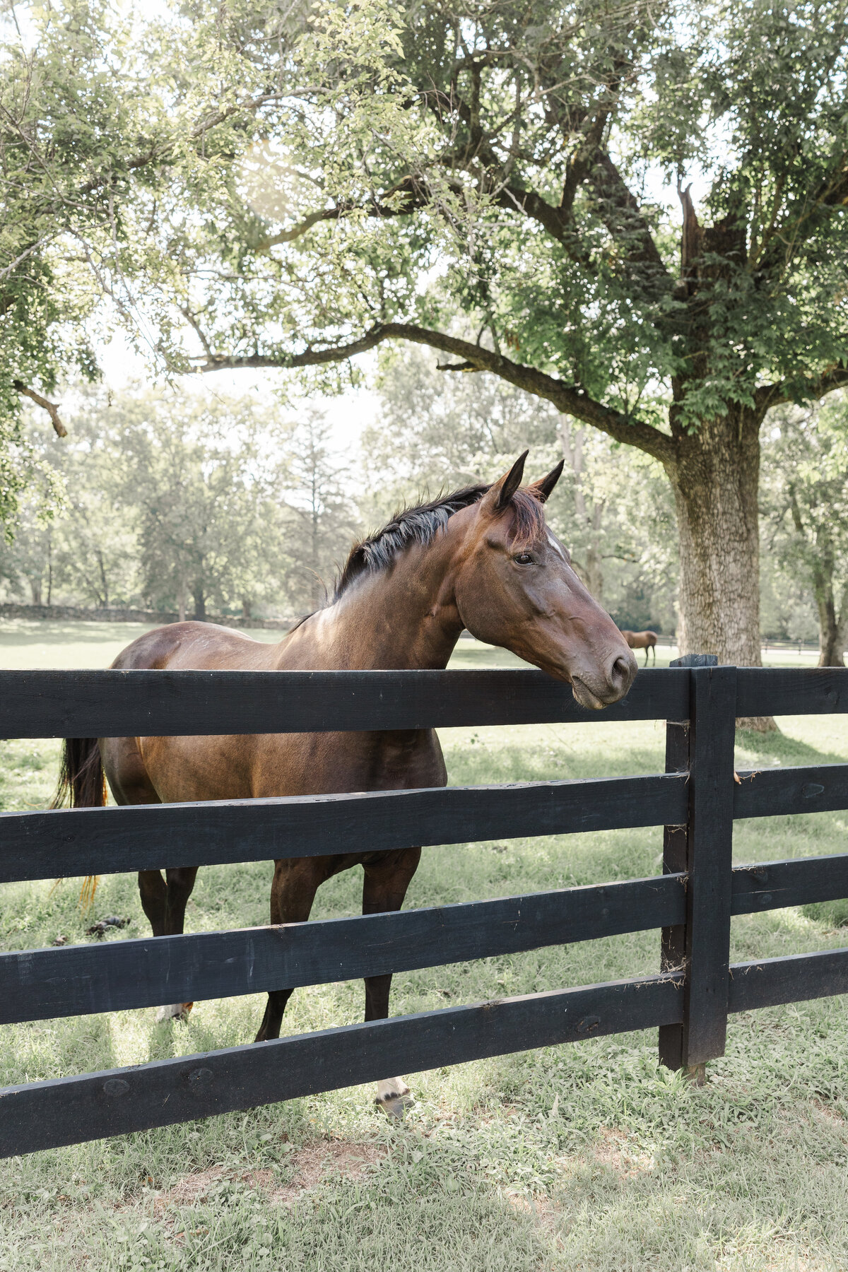 nashville tn belle meade wedding -10