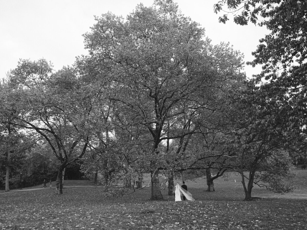 New York Wedding Photographer (66 of 200)