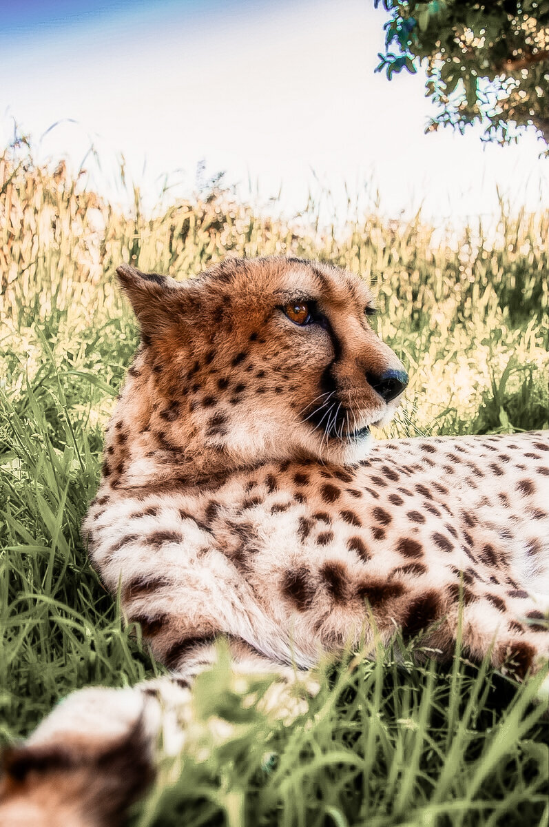 juliercreative-71