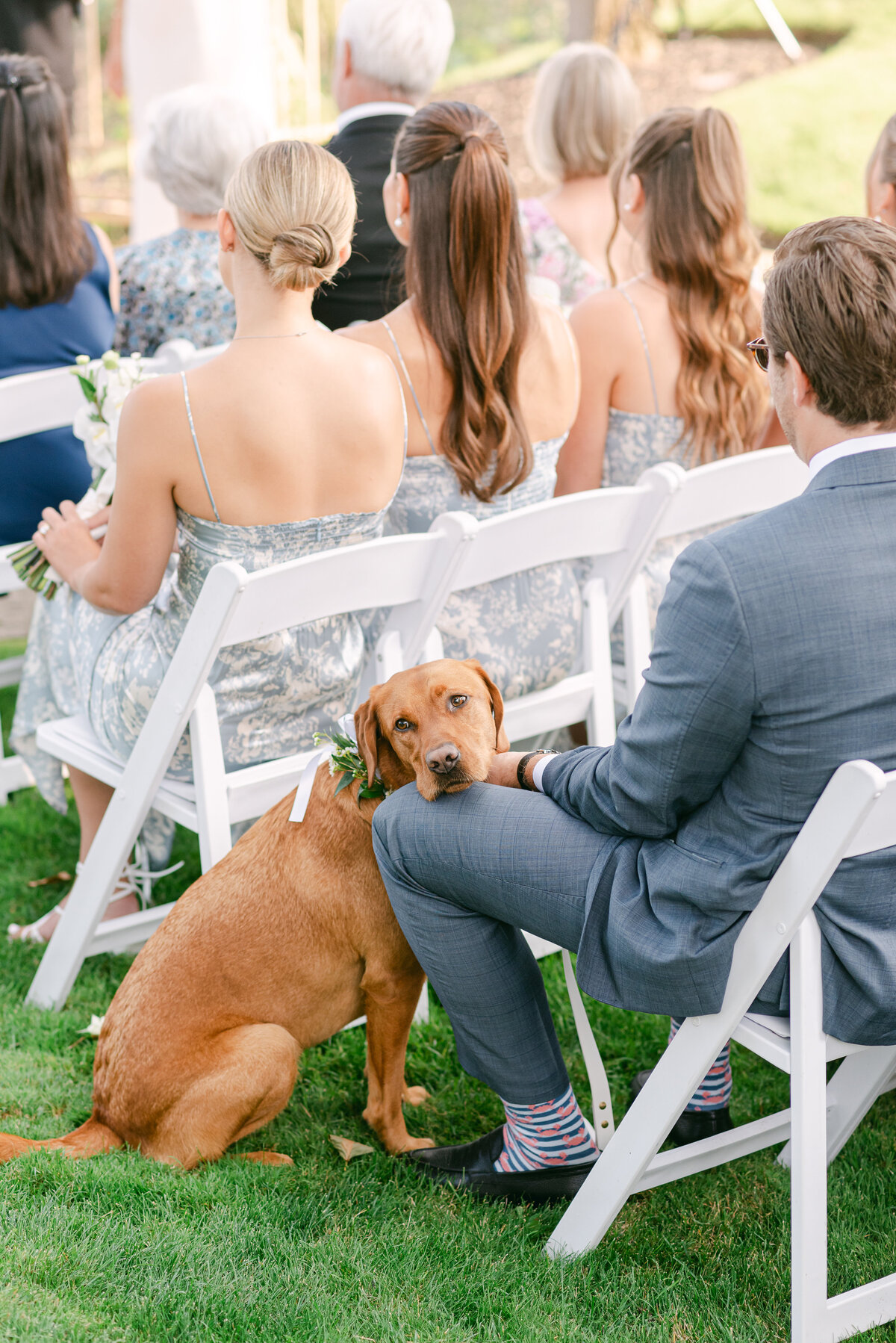 Tara-McMullen-Wedding-Photography-0162