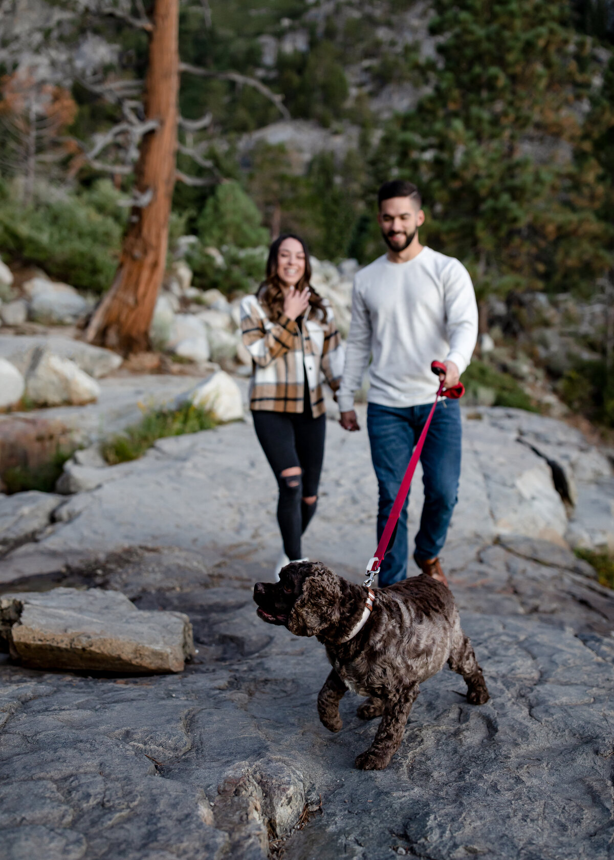 08272022_Emily+ZachEngagements_EmeraldBayLakeTahoeCA_AnjaJensenPhotography-32