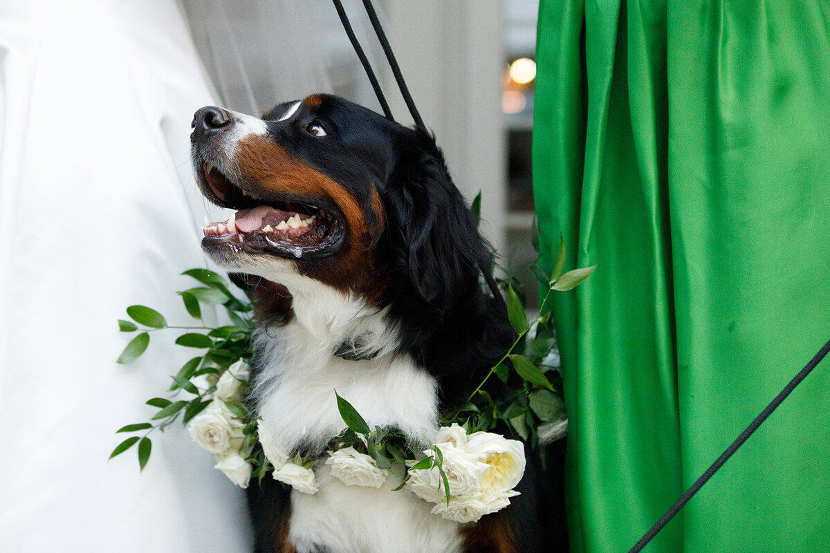 G&G_Wedding-1153