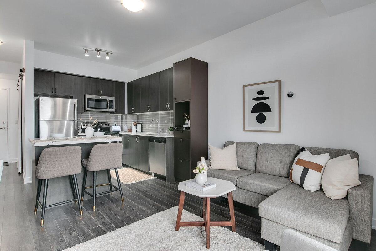 13-web-or-mls-8_004_Living Room