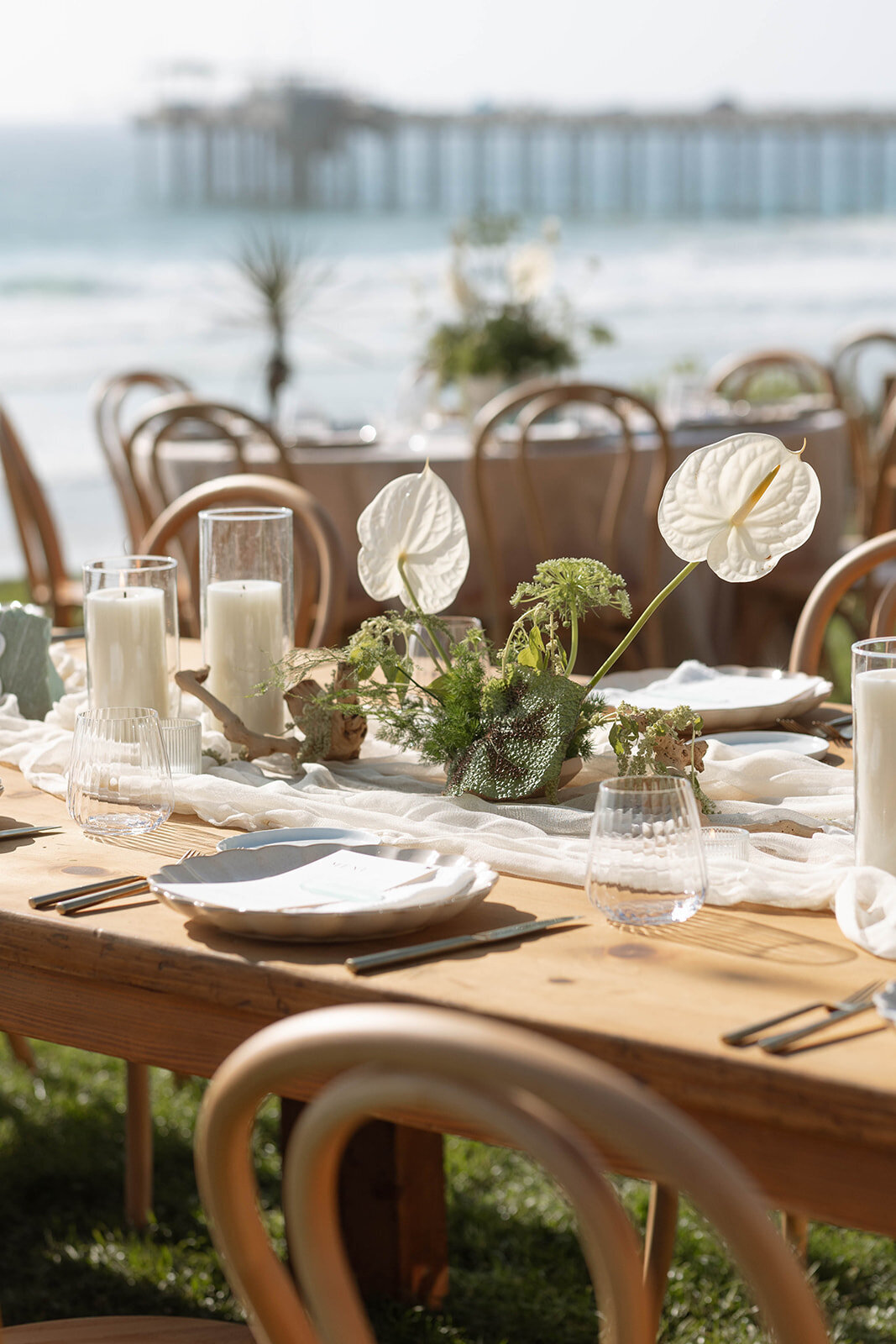 meagan-hilss-events-connor-nicole-celebration