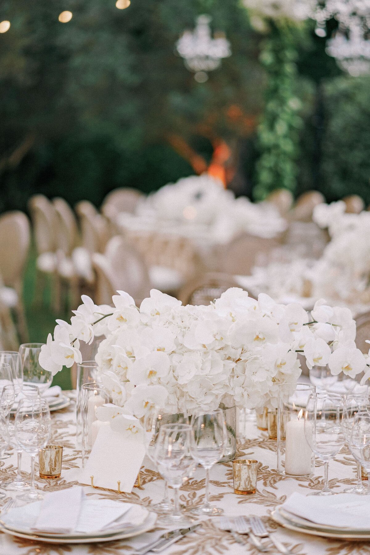 wedding-dinner-table-reception-large-bouquet-white-orchids-table-plates-glasses