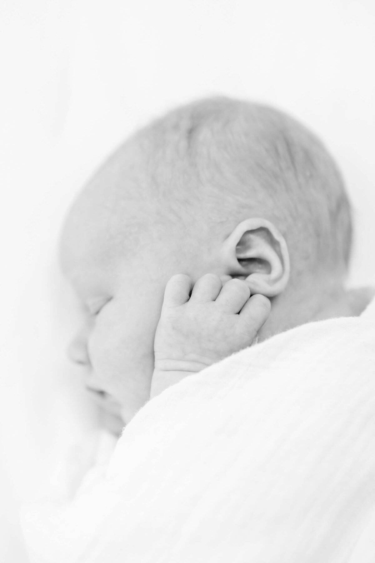 Albany-Newborn-Photographer-804